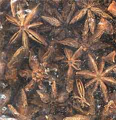Star Anise - Click Image to Close